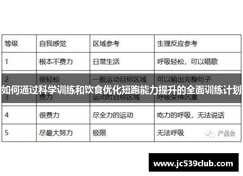 如何通过科学训练和饮食优化短跑能力提升的全面训练计划